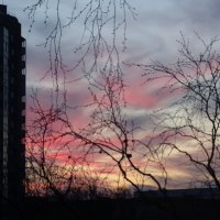 Рассвет :: Anna-Sabina Anna-Sabina