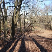 Парк Александрия :: Наталья Герасимова