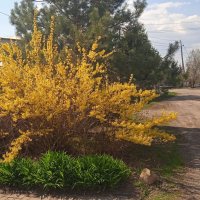 Прошлогодний апрель был куда веселей :: Елена Шаламова