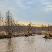 Апрельские зарисовки :: Анастасия Логинова