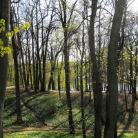 Апрельские зарисовки :: Рита Симонова