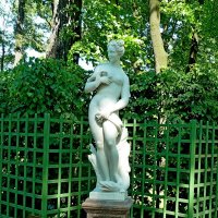 ЛЕТНИЙ САД. :: Виктор Осипчук