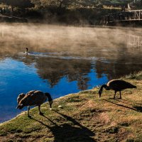 Утро на озере :: Николай Бабухин