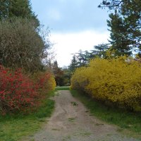 Природа  Крыма :: Валентин Семчишин