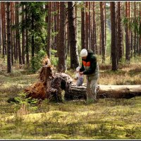 *** :: Aleksandr Gal