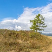 На берегу озера Тургояк (панорама). :: Алексей Трухин