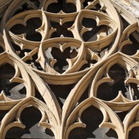 Готическая решетка :: Танзиля Завьялова