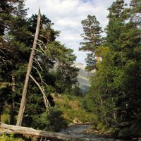 Горный этюд ... :: Андрей Любимов