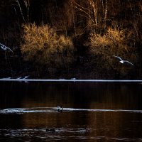 Последние лучи :: Владимир 