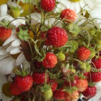 хочется... :: Галина Флора хочется... :: Галина Флора