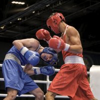 Бокс :: Александр Лисовский