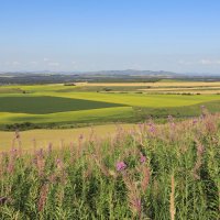Алтай... :: владимир