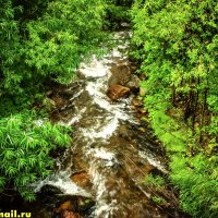 99 :: HART BAD 99 :: HART BAD