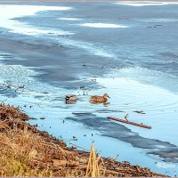 Про апрель... :: Aquarius - Сергей Про апрель... :: Aquarius - Сергей