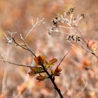 *** :: Павленко Михаил 