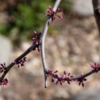 *** :: Павленко Михаил 