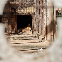 Зоопарк :: Александр 