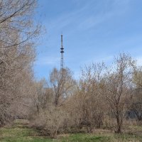 Апрельское утро :: Андрей Хлопонин