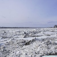 А на Томи ледоход :: Галина Кан