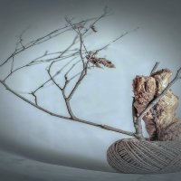 Клубок. :: Владимир Владимир