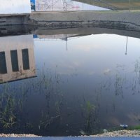 на набережной :: Елена Шаламова