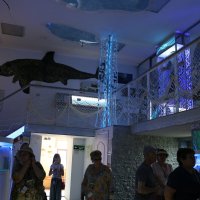 В музее рыбы в Тетюшах :: Ольга В музее рыбы в Тетюшах :: Ольга