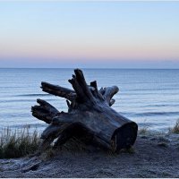 У моря. :: Валерия Комова