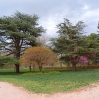 Весенний  пейзаж :: Валентин Семчишин