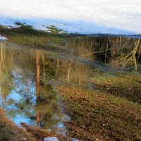 Весеннее отражение в лужах... :: Татьяна Гнездилова