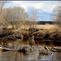 НАСТАЛ АПРЕЛЬ :: Aleksandr Gal НАСТАЛ АПРЕЛЬ :: Aleksandr Gal