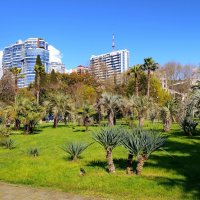 Воскресный день :: Tata Wolf