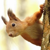 Интерес :: Вячеслав Минаев