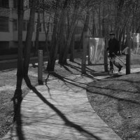 Прогулка :: Сергей Матвеенко