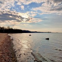 Вечернее весеннее солнце. :: Лия ☼