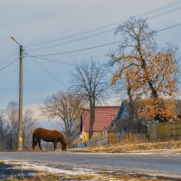 Весна в деревне :: Олег Подлесных