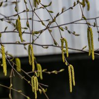 Ещё чуть-чуть, и..... :: Ирина Соловьёва Ещё чуть-чуть, и..... :: Ирина Соловьёва