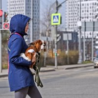 Любимый друг :: Валерий Иванович