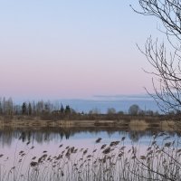 Тишь да гладь :: Ольга Савельева 