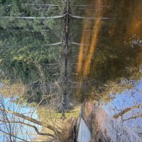 Река :: Ольга Савельева 