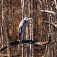 1 :: Сергей Флетчер