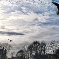 .... :: Андрей 