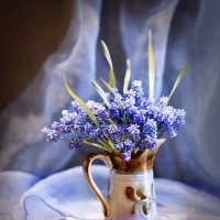 Мускарики. :: Bosanat 