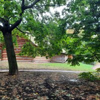 Осень в Коломенском :: Irene Irene