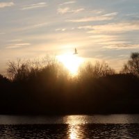 Закат :: Дмитрий И_ Закат :: Дмитрий И_