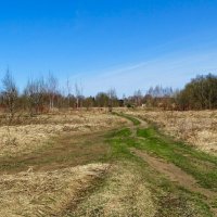 Деревенская дорога. :: Милешкин Владимир Алексеевич 