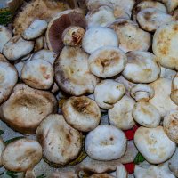 "Добыча" степей Мангыстау :: Анатолий Чикчирный