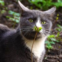 Мотя :: kolyeretka 