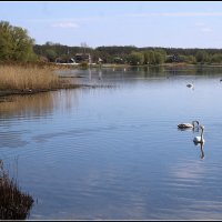 *** :: Aleksandr Gal