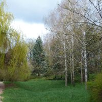 Весенний  пейзаж :: Валентин Семчишин