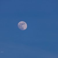 Дневная луна :: Александр Синдерёв